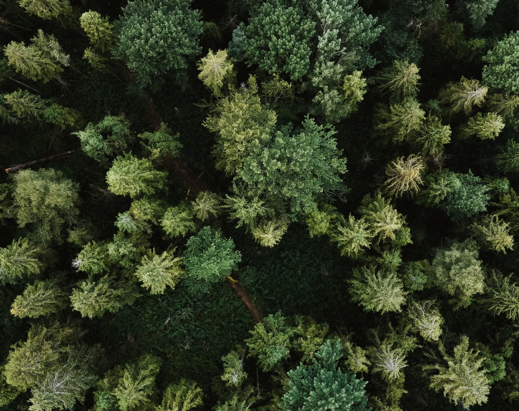 La gestion de notre administratif